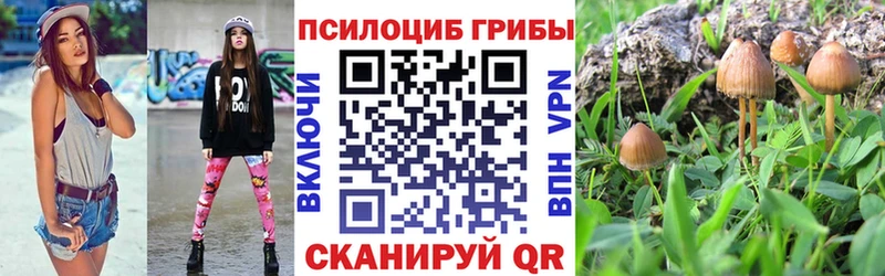 даркнет сайт  Рассказово  Галлюциногенные грибы Psilocybe 